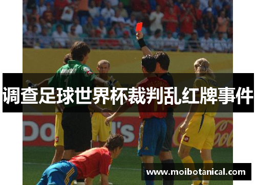 调查足球世界杯裁判乱红牌事件