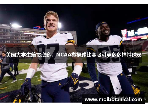 美国大学生籍贯增多，NCAA橄榄球比赛吸引更多多样性球员