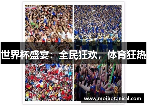 世界杯盛宴：全民狂欢，体育狂热