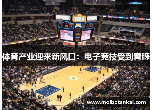 体育产业迎来新风口：电子竞技受到青睐