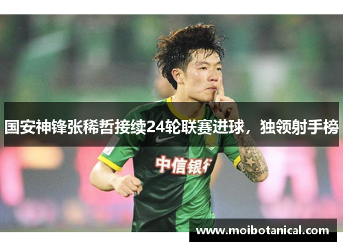 国安神锋张稀哲接续24轮联赛进球，独领射手榜